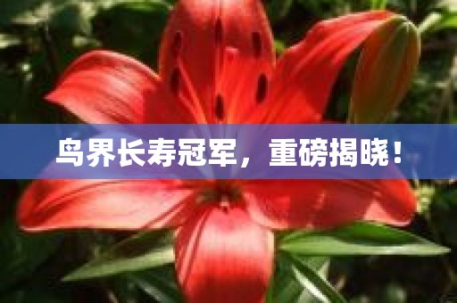 鸟界长寿冠军，重磅揭晓！