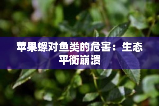 苹果螺对鱼类的危害：生态平衡崩溃
