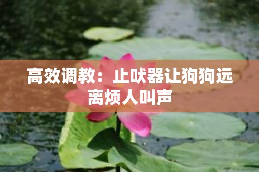 高效调教：止吠器让狗狗远离烦人叫声