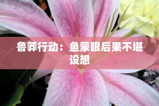 鲁莽行动：鱼蒙眼后果不堪设想