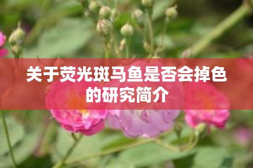 关于荧光斑马鱼是否会掉色的研究简介