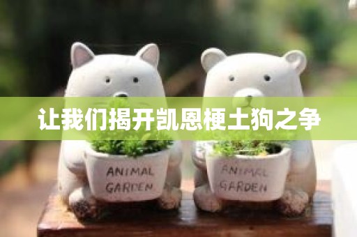 让我们揭开凯恩梗土狗之争