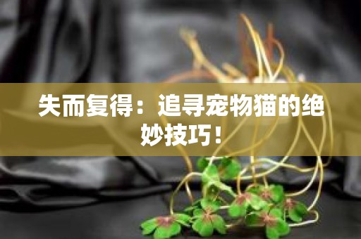 失而复得：追寻宠物猫的绝妙技巧！