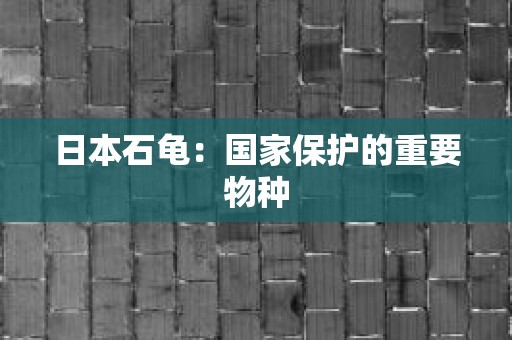 日本石龟：国家保护的重要物种
