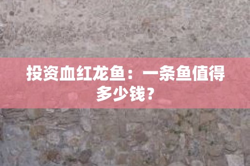 投资血红龙鱼：一条鱼值得多少钱？