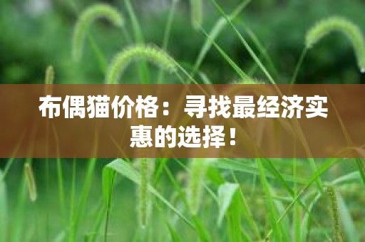 布偶猫价格：寻找最经济实惠的选择！