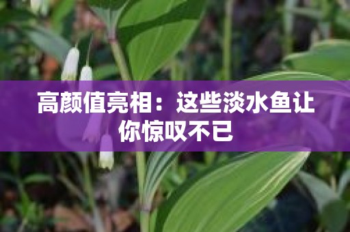 高颜值亮相：这些淡水鱼让你惊叹不已