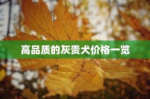 高品质的灰贵犬价格一览