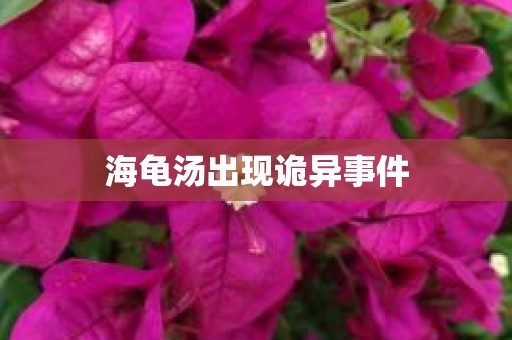 海龟汤出现诡异事件