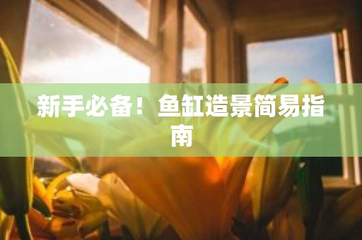 新手必备！鱼缸造景简易指南