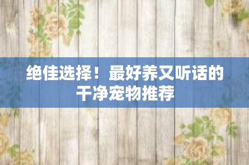 绝佳选择！最好养又听话的干净宠物推荐