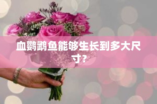 血鹦鹉鱼能够生长到多大尺寸？