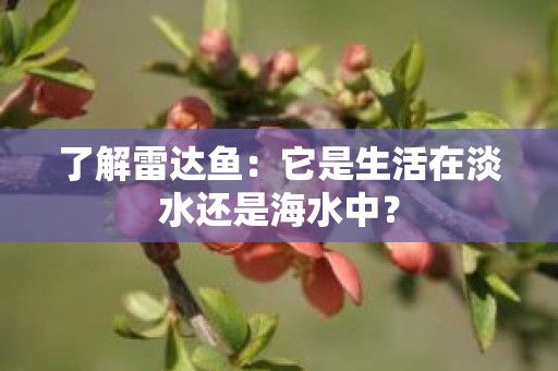 了解雷达鱼：它是生活在淡水还是海水中？