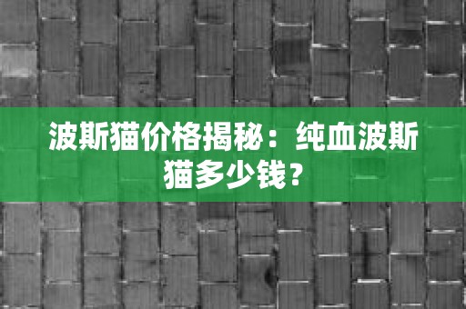 波斯猫价格揭秘：纯血波斯猫多少钱？