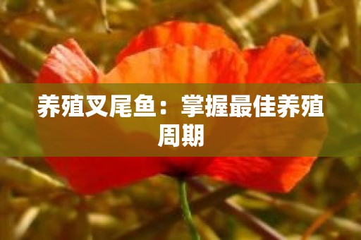 养殖叉尾鱼：掌握最佳养殖周期