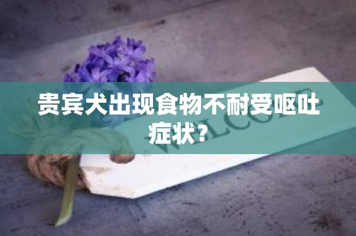贵宾犬出现食物不耐受呕吐症状？