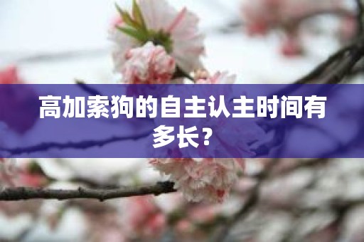 高加索狗的自主认主时间有多长？