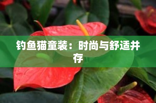 钓鱼猫童装：时尚与舒适并存