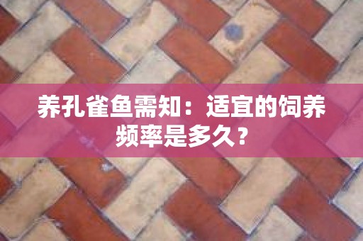 养孔雀鱼需知：适宜的饲养频率是多久？
