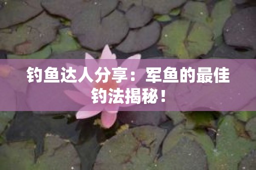 钓鱼达人分享：军鱼的最佳钓法揭秘！