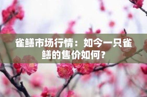 雀鳝市场行情：如今一只雀鳝的售价如何？