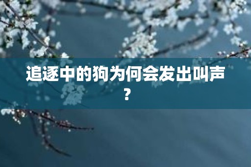 追逐中的狗为何会发出叫声？