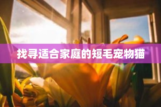 找寻适合家庭的短毛宠物猫