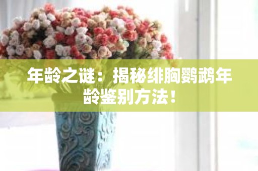 年龄之谜：揭秘绯胸鹦鹉年龄鉴别方法！