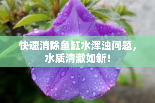 快速消除鱼缸水浑浊问题，水质清澈如新！