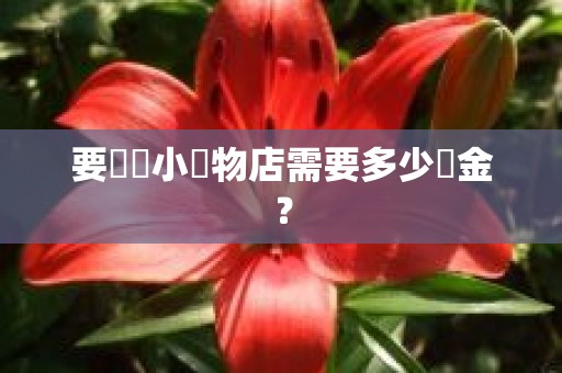 要開設小寵物店需要多少資金？