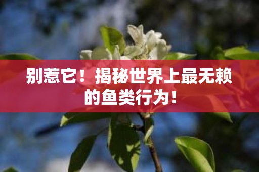 别惹它！揭秘世界上最无赖的鱼类行为！