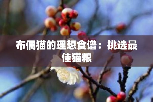 布偶猫的理想食谱：挑选最佳猫粮