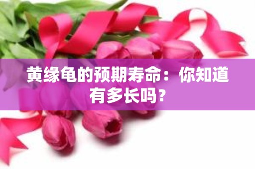 黄缘龟的预期寿命：你知道有多长吗？