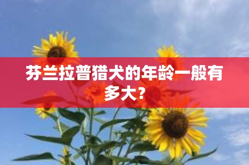 芬兰拉普猎犬的年龄一般有多大？