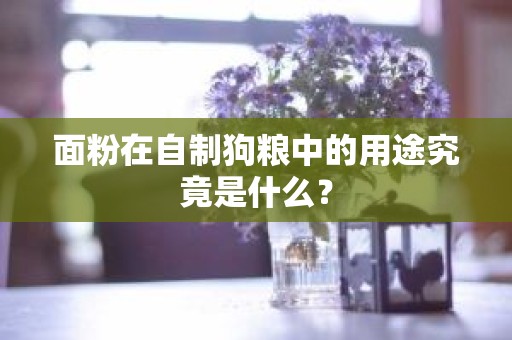 面粉在自制狗粮中的用途究竟是什么？