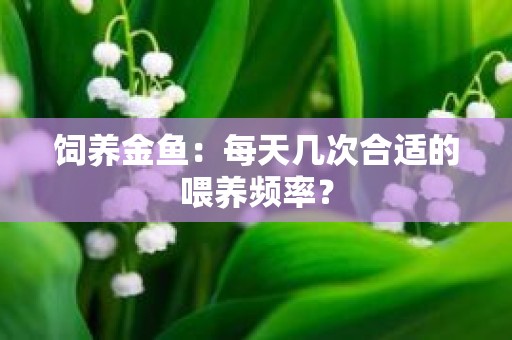 饲养金鱼：每天几次合适的喂养频率？