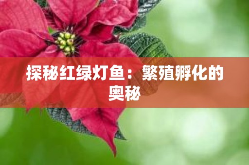 探秘红绿灯鱼：繁殖孵化的奥秘