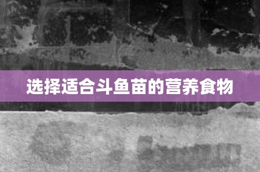 选择适合斗鱼苗的营养食物