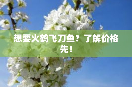 想要火鹤飞刀鱼？了解价格先！