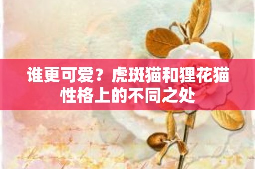 谁更可爱？虎斑猫和狸花猫性格上的不同之处