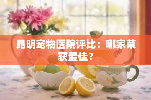 昆明宠物医院评比：哪家荣获最佳？