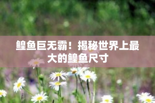 鳇鱼巨无霸！揭秘世界上最大的鳇鱼尺寸