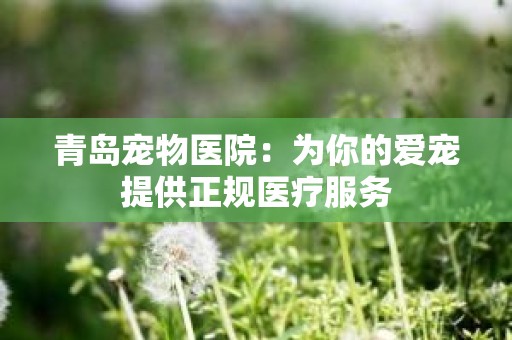 青岛宠物医院：为你的爱宠提供正规医疗服务