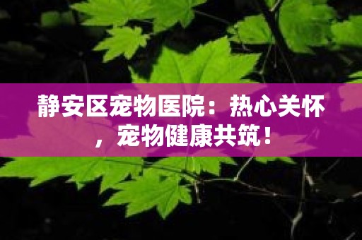 静安区宠物医院：热心关怀，宠物健康共筑！