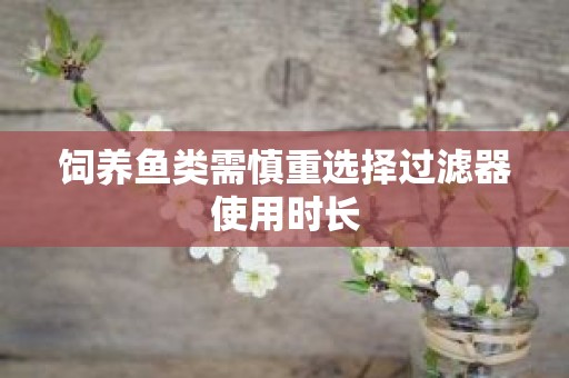 饲养鱼类需慎重选择过滤器使用时长