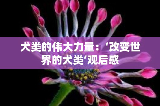 犬类的伟大力量：‘改变世界的犬类’观后感