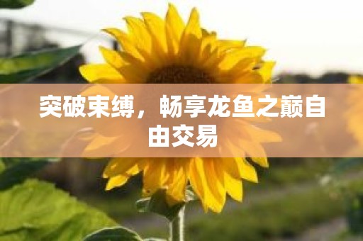 突破束缚，畅享龙鱼之巅自由交易