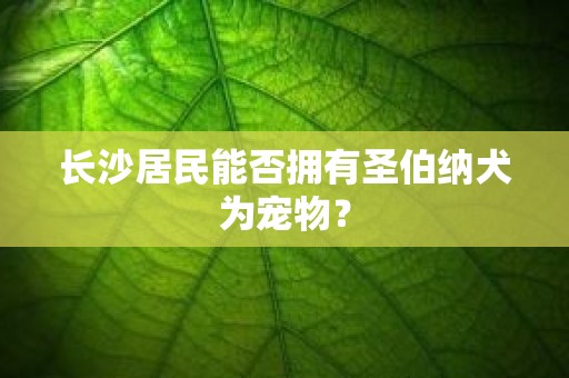 长沙居民能否拥有圣伯纳犬为宠物？