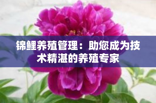 锦鲤养殖管理：助您成为技术精湛的养殖专家