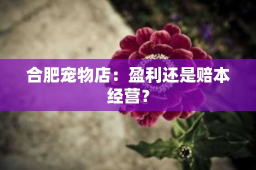 合肥宠物店：盈利还是赔本经营？